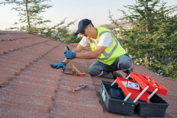 Best Flat Roof Repair Services  in Lonsdale, MN